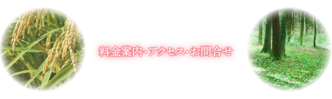 料金案内・アクセス・お問合せ